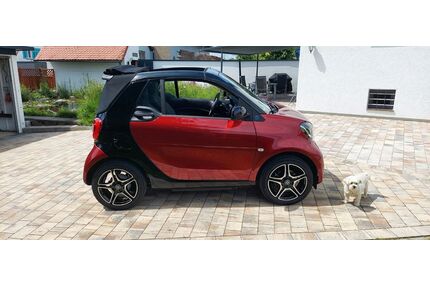 Smart ForTwo Gebrauchtwagen