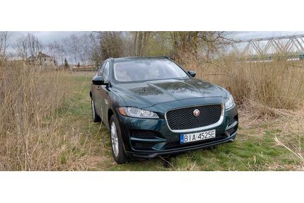 Jaguar F-Pace Gebrauchtwagen