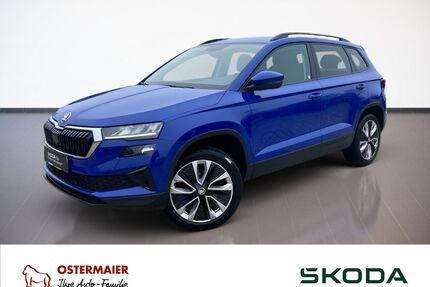 Skoda Karoq Gebrauchtwagen