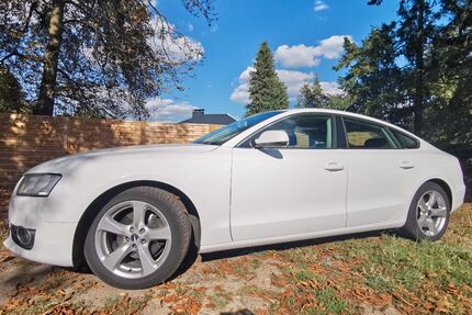 Audi A5 Gebrauchtwagen