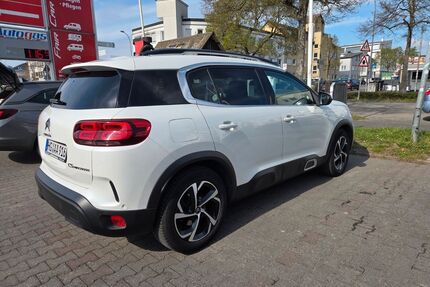 Citroen C5 Aircross Gebrauchtwagen