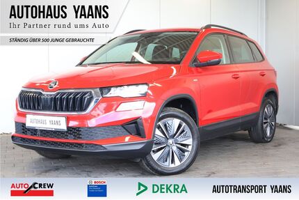 Skoda Karoq Gebrauchtwagen