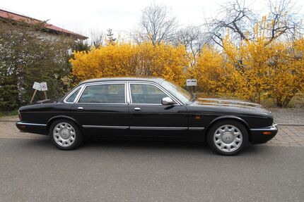 Jaguar Daimler Gebrauchtwagen
