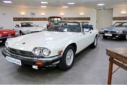 Jaguar XJS Gebrauchtwagen