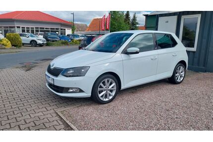 Skoda Fabia Gebrauchtwagen