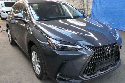 Lexus NX 350h Gebrauchtwagen