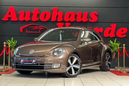 VW Beetle Gebrauchtwagen