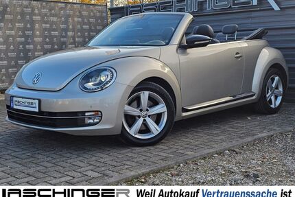 VW Beetle Gebrauchtwagen