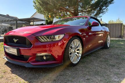 Ford Mustang Gebrauchtwagen