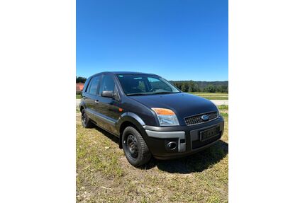 Ford Fusion Gebrauchtwagen