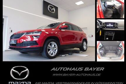 Skoda Karoq Gebrauchtwagen