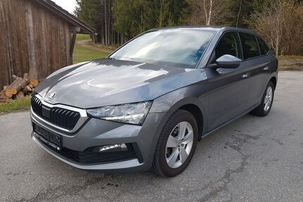 Skoda Scala Gebrauchtwagen