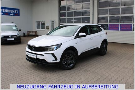 Opel Grandland (X) Gebrauchtwagen