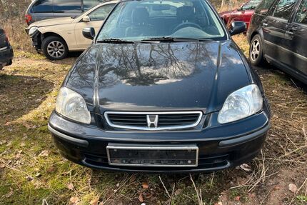 Honda Civic Gebrauchtwagen