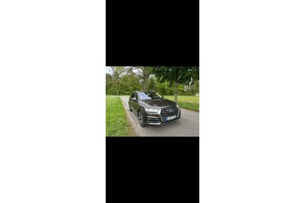 Audi Q7 Gebrauchtwagen