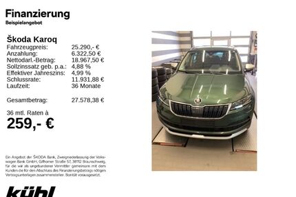Skoda Karoq Gebrauchtwagen