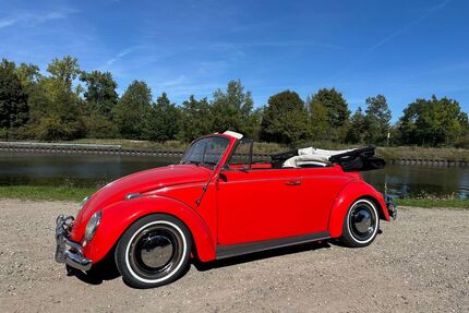 VW Käfer Gebrauchtwagen