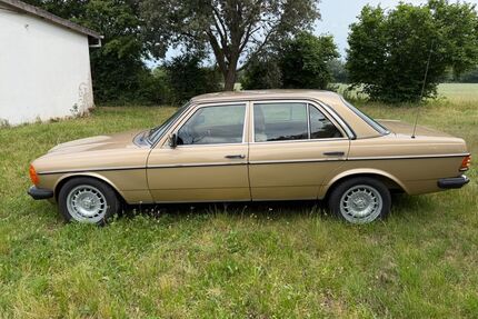 Mercedes-Benz 230 Gebrauchtwagen