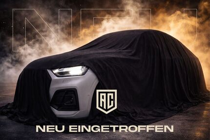 VW T6 Transporter Gebrauchtwagen