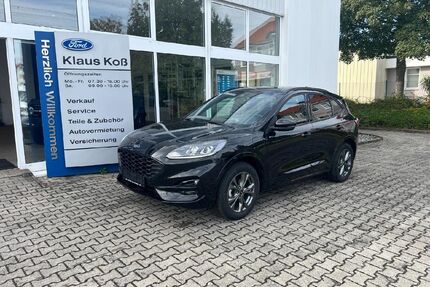 Ford Kuga Gebrauchtwagen