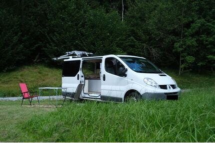 Renault Trafic Gebrauchtwagen