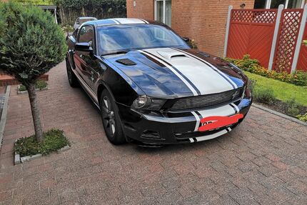 Ford Mustang Gebrauchtwagen