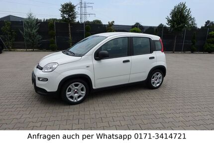 Fiat Panda Gebrauchtwagen