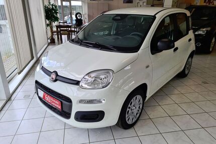 Fiat Panda Gebrauchtwagen