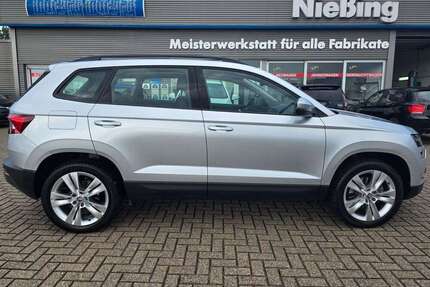 Skoda Karoq Gebrauchtwagen
