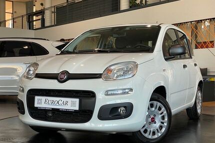 Fiat Panda Gebrauchtwagen