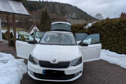 Skoda Fabia Gebrauchtwagen