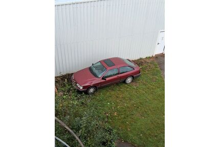 Ford Sierra Gebrauchtwagen