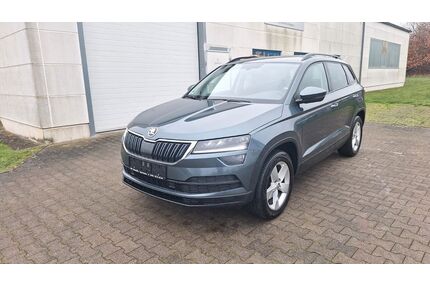 Skoda Karoq Gebrauchtwagen