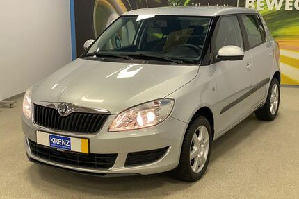 Skoda Fabia Gebrauchtwagen