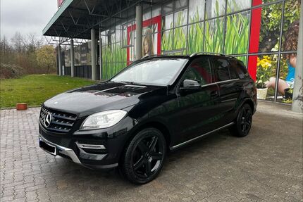 Mercedes-Benz ML 250 Gebrauchtwagen