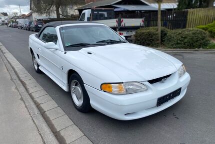 Ford Mustang Gebrauchtwagen