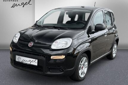 Fiat Panda Gebrauchtwagen