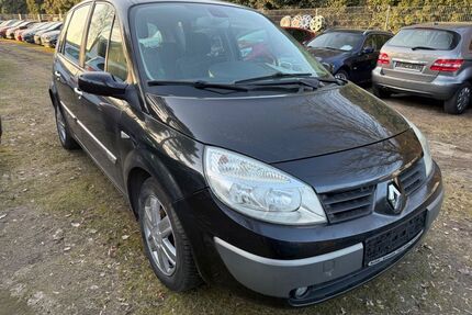 Renault Scenic Gebrauchtwagen