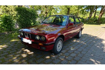 BMW 318 Gebrauchtwagen
