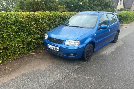 VW Polo Gebrauchtwagen