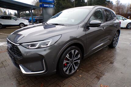 Ford Kuga Gebrauchtwagen