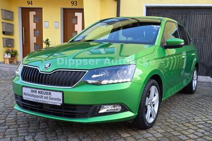 Skoda Fabia Gebrauchtwagen