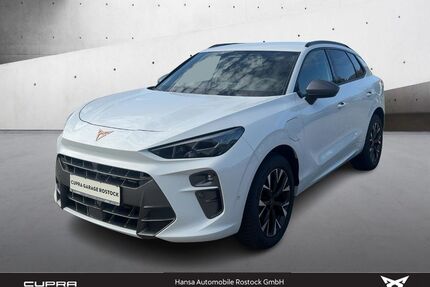 Cupra Terramar Gebrauchtwagen