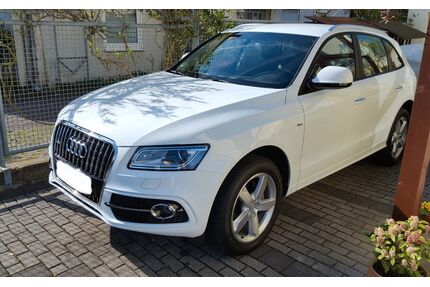 Audi Q5 Gebrauchtwagen