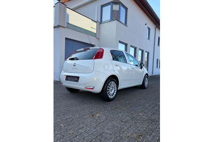 Fiat Punto Gebrauchtwagen