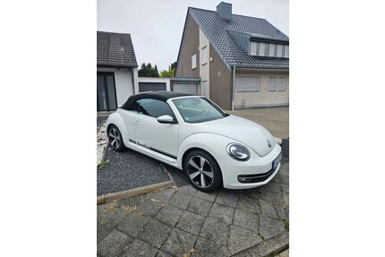 VW Beetle Gebrauchtwagen