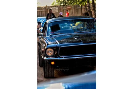 Ford Mustang Gebrauchtwagen