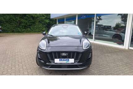 Ford Puma Gebrauchtwagen