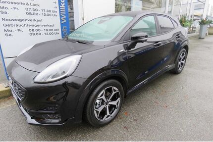 Ford Puma Gebrauchtwagen