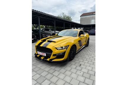 Ford Mustang Gebrauchtwagen